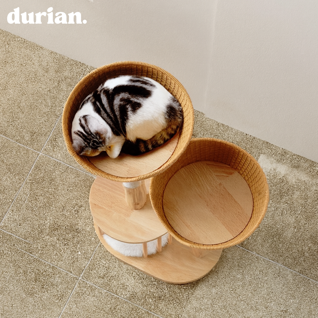 durian. Natural wood and rattan cat tower with integrated cat bed and scratching post. Natural style.