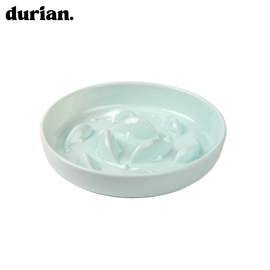 Durian Ceramic Food Bowl to Prevent Fast Eating