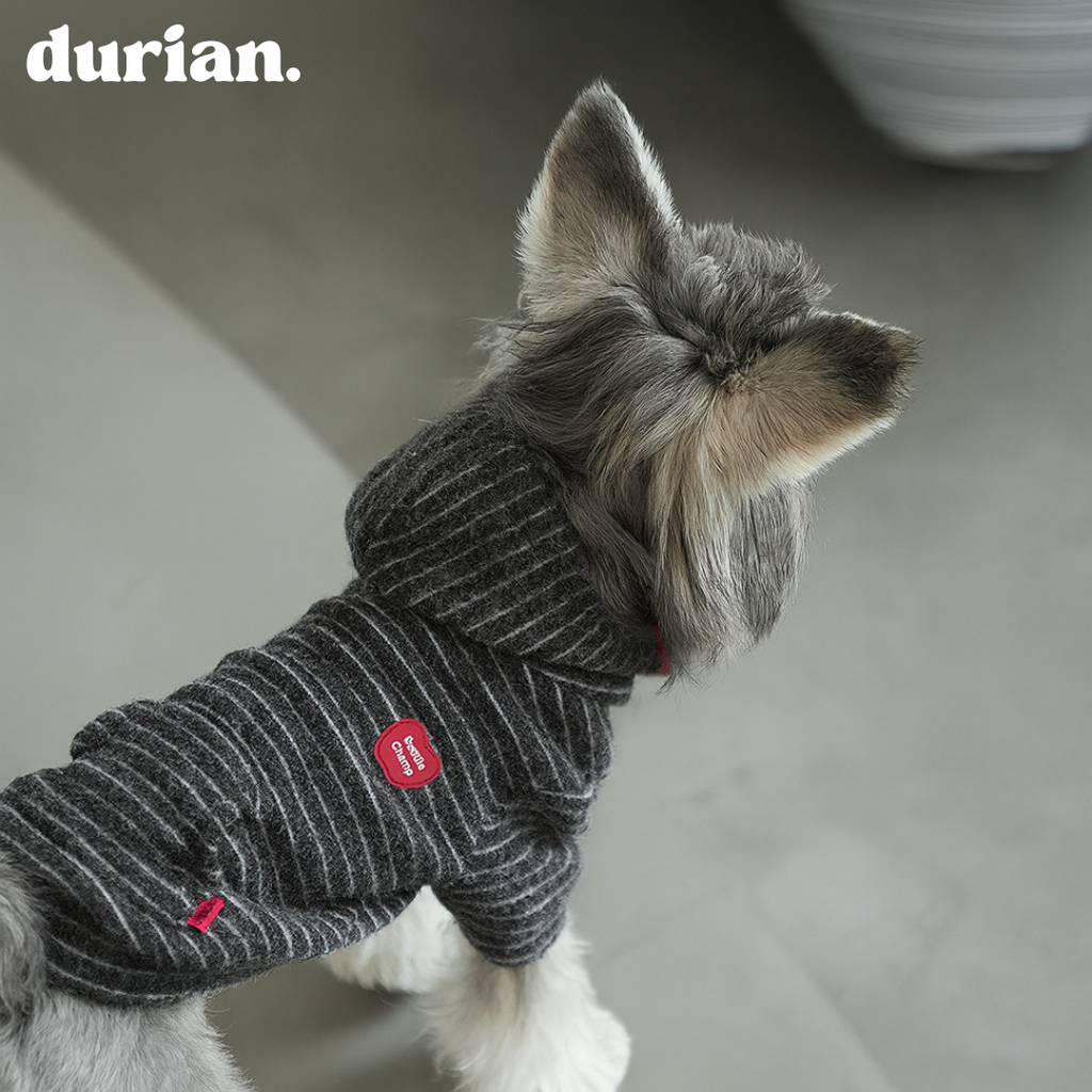 Durian Border Print Hoodie Dogwear