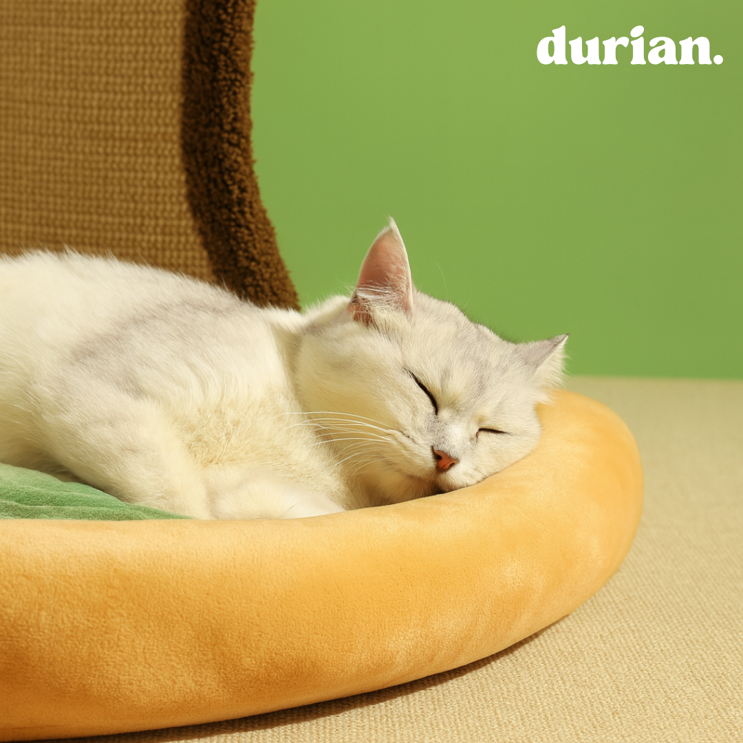 Durian Persimmon Tree Design Cat Scratching Bed | Pet Interior Kenneth Fabric Stylish Cat House