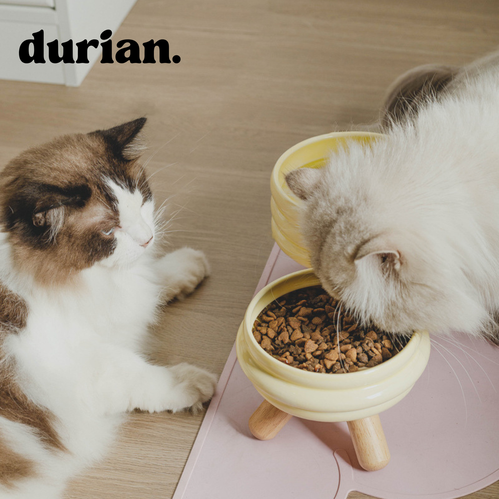 durian. Ceramic Pet Food Bowl with High Legs | For Cats and Dogs, Includes Food and Water Bowl Stand