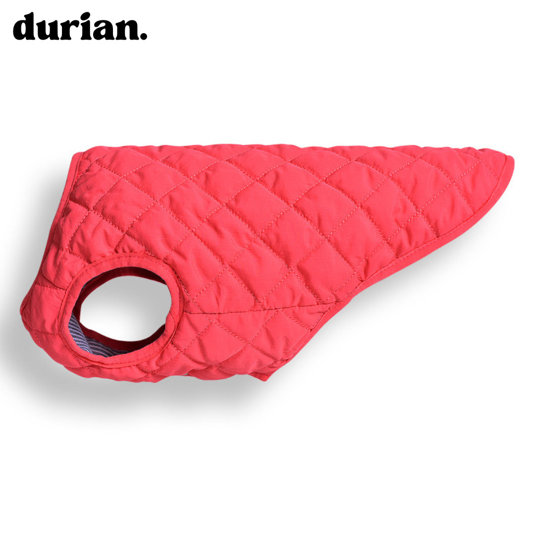 durian. Quilted Dog Vest | Lightweight, Warm Padded Jacket for Small and Medium Dogs