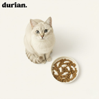 Durian Ceramic Food Bowl to Prevent Fast Eating