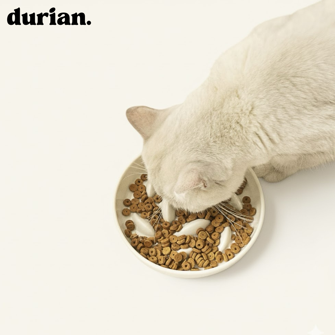 Durian Ceramic Food Bowl to Prevent Fast Eating