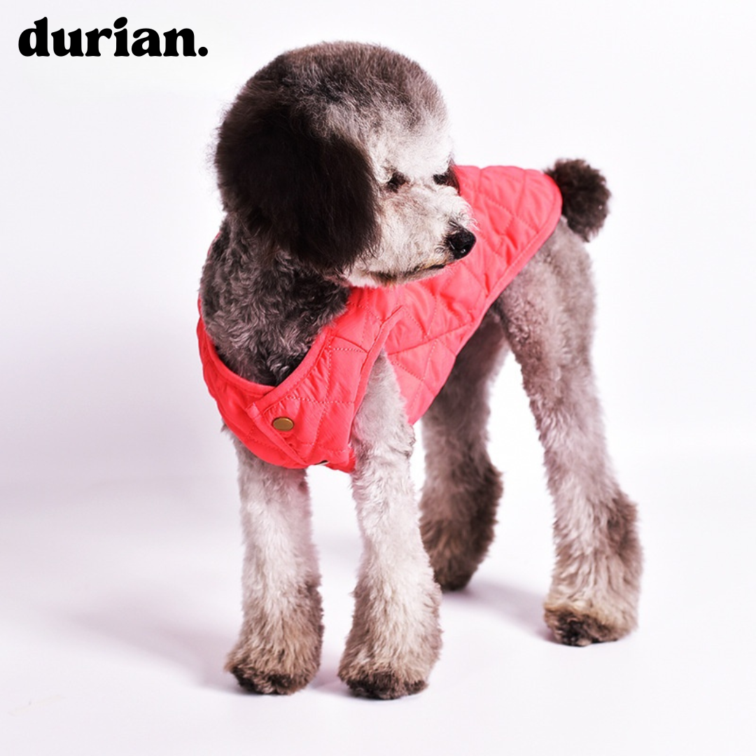 durian. Quilted Dog Vest | Lightweight, Warm Padded Jacket for Small and Medium Dogs