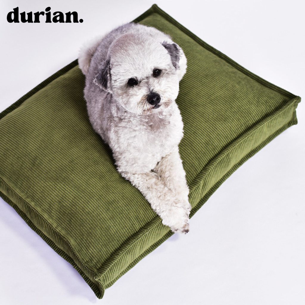 Durian Pet Interior Mat, Corduroy Fabric with Cushion, Washable, Cat and Dog Bed