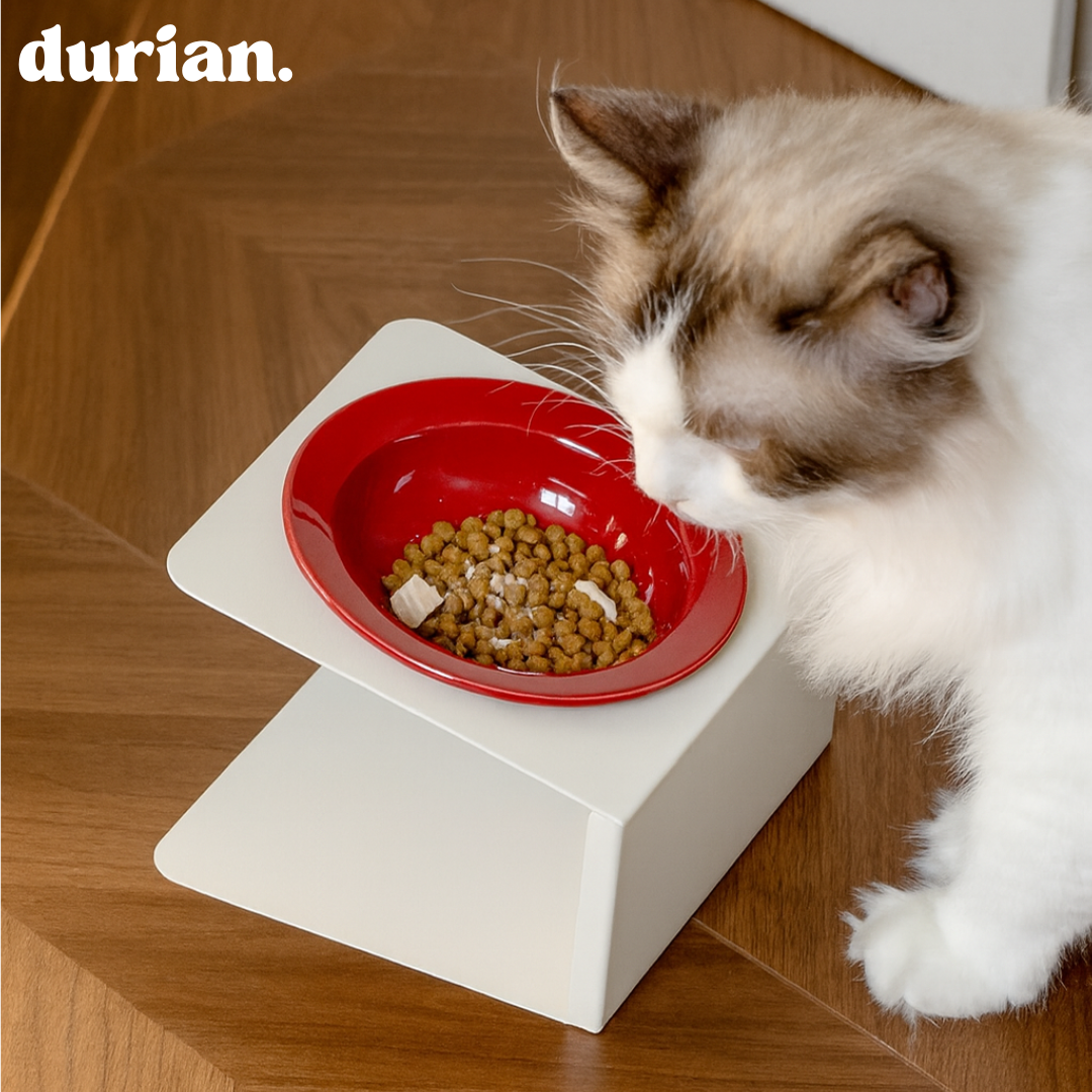 durian. Pet Interior Ceramic Bowl | High-leg Separable Food Bowl for Cats and Dogs