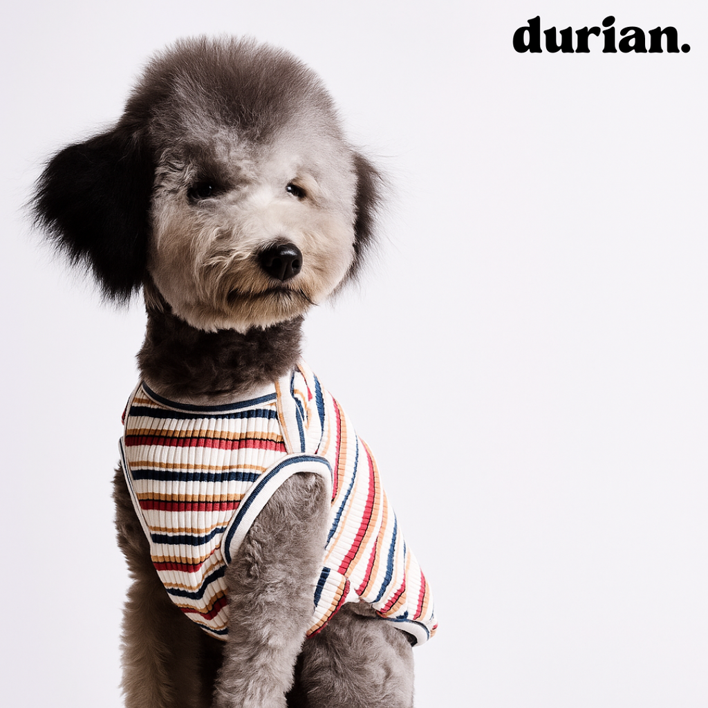 durian | Cotton rib border tank, highly stretchable, soft fit