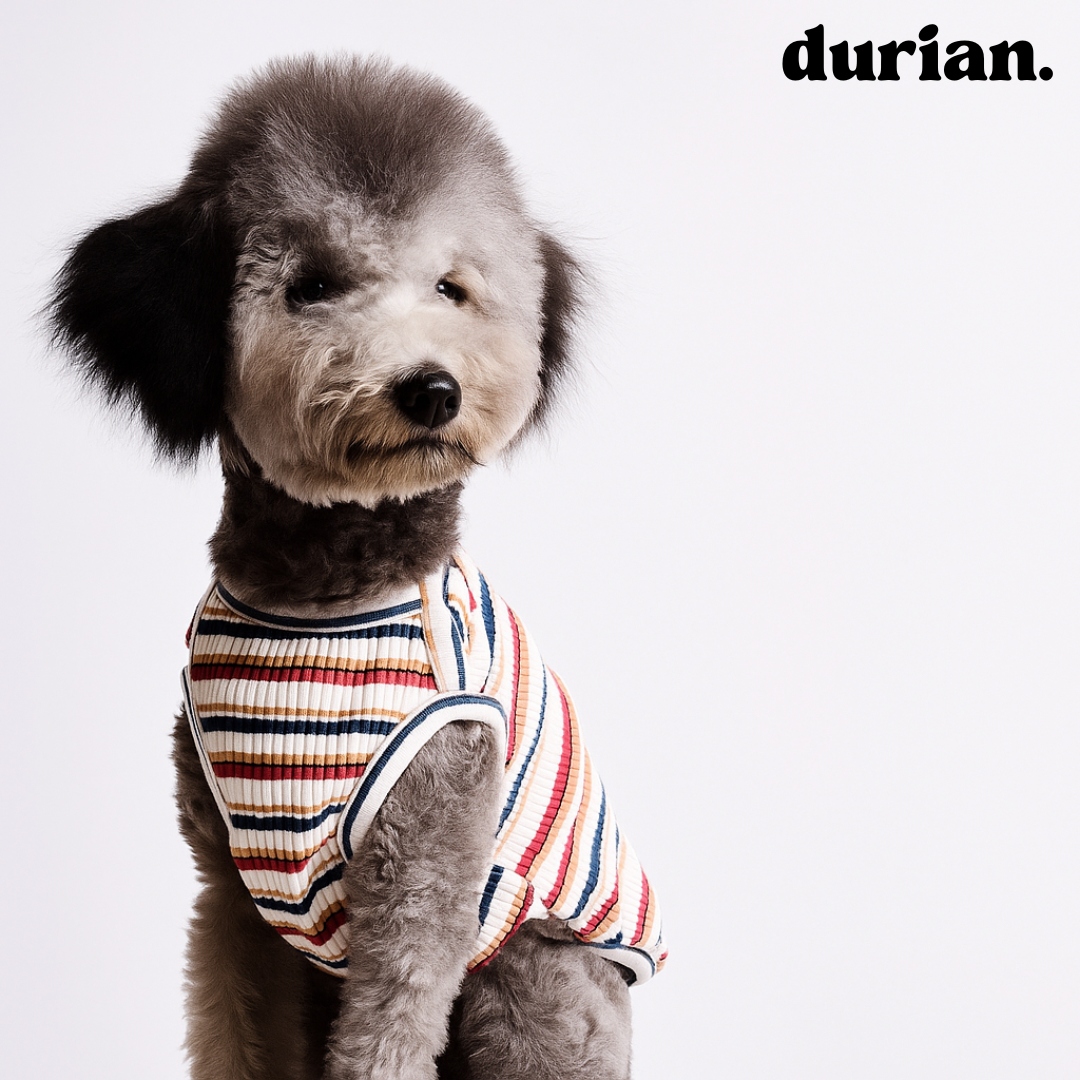 durian | Cotton rib border tank, highly stretchable, soft fit