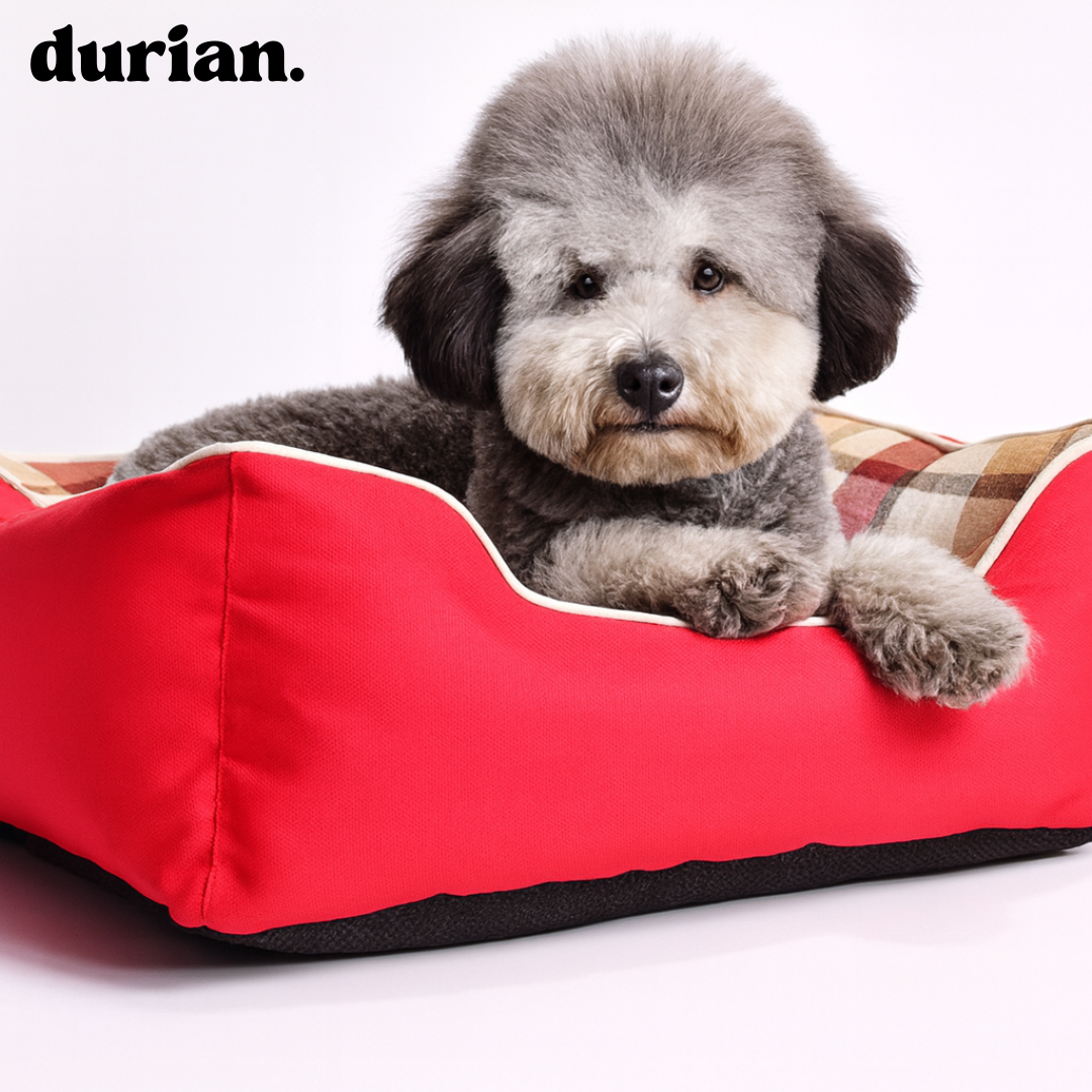 Durian Pet Bed | Soft Oxford Bed for Dogs and Cats