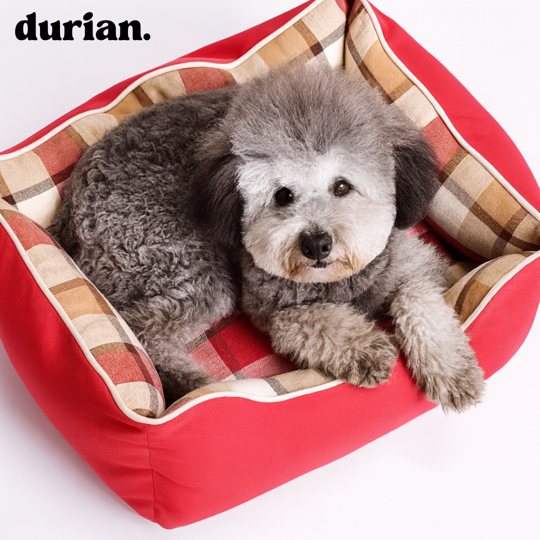 Durian Pet Bed | Soft Oxford Bed for Dogs and Cats