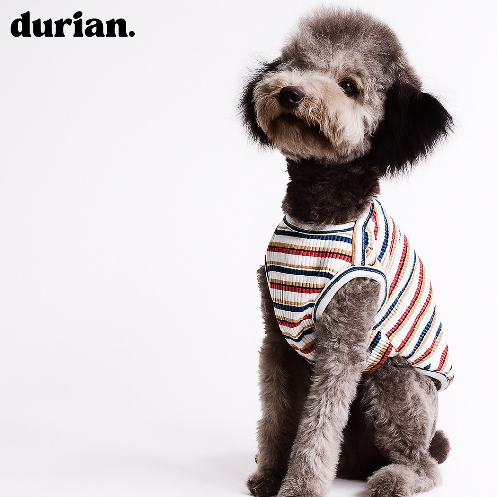 durian | Cotton rib border tank, highly stretchable, soft fit