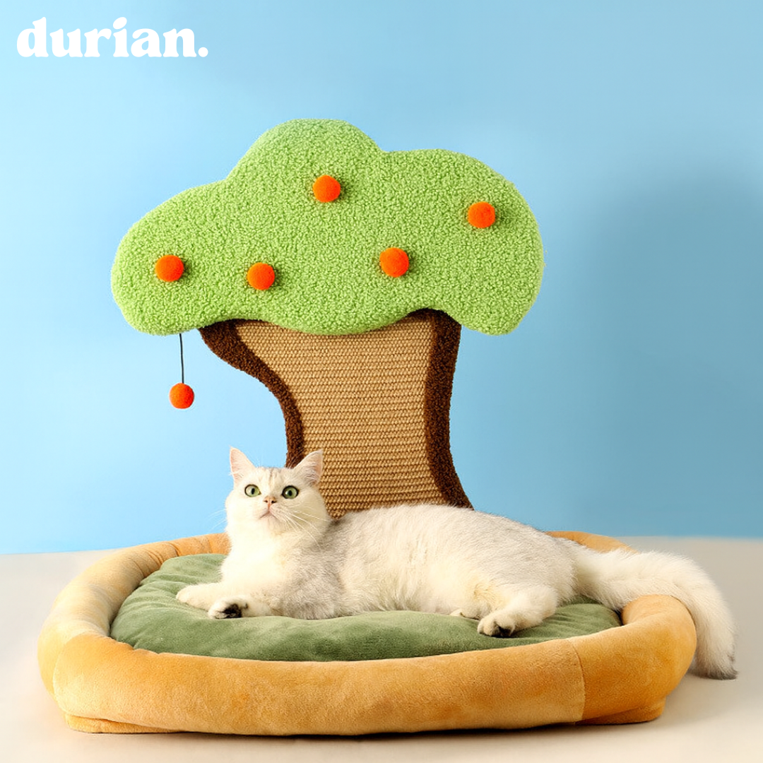Durian Persimmon Tree Design Cat Scratching Bed | Pet Interior Kenneth Fabric Stylish Cat House